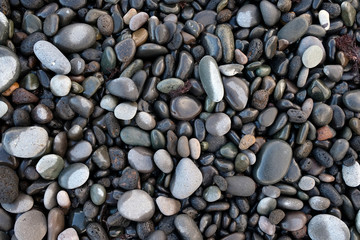 A selection of wet and dry round stones, pebbles on the beach.