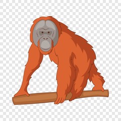 Orangutan icon. Cartoon illustration of orangutan vector icon for web © ylivdesign