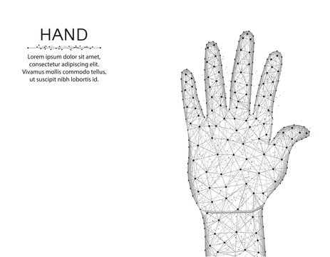 Human hand low poly design, gesture in polygonal style, body part wire frame vector illustration on a white background