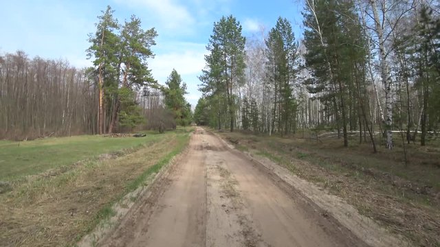 view from a car driving along a forest sand road
