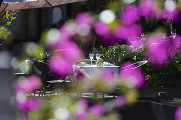 Restaurant terrace with dressed table in the sun and flower reflection