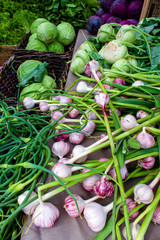 Organic Farmer's Market Okanagan Valley