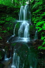 Obraz premium 夏の小滝さん