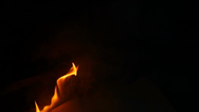 Book pages are burning in fire. Bonfire of Burning Books. Slow motion.