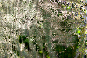 Partially clogged mosquito net wire screen down from oaks and dandelions on a sunny day. Dust and...