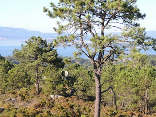 Vistas desde lo alto del monte de Sidarella en San Vicente (O Grove, España)
