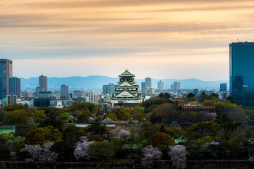 Osaka castle with cherry blossom and Center business district in background at Osaka, Japan.