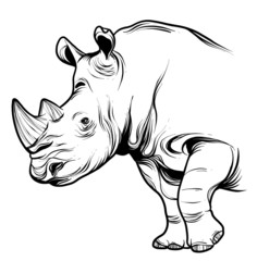 Rinoceronte