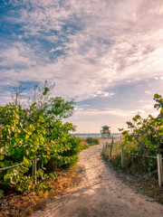 Sand pathway to the beach tower on a cloudy morning on Singer Island near Palm Beach Florida