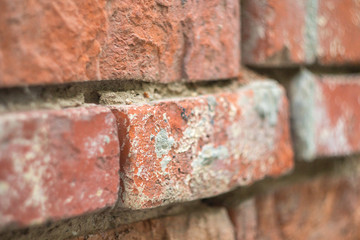 old textured red brick grunge wall