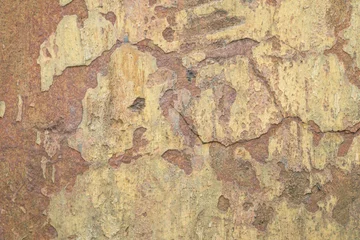 Photo sur Plexiglas Vieux mur texturé sale mur de béton texturé beige et corail