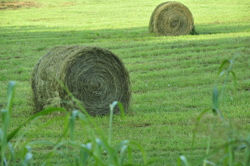 bales of hay