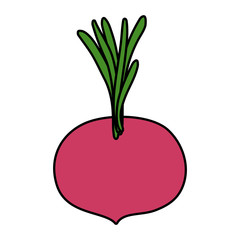 onion fresh vegetable healthy icon