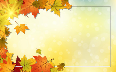 Naklejka na ściany i meble Autumn style vector background with fallen colorful leaves