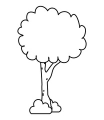 tree nature plant isolated icon