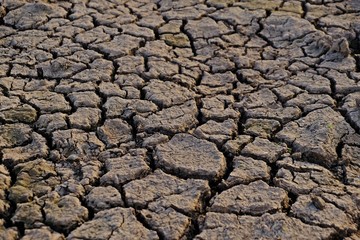 The cracked ground, Soil texture and dry mud, Dry land.