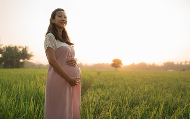 beautiful pregnant woman in rice field on sunset day