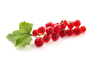 red currant with green leaves isolated on white background