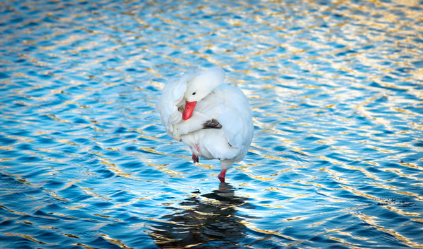 Equilibrio espiritual