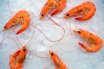 Orange boiled shrimp placed on ice piles