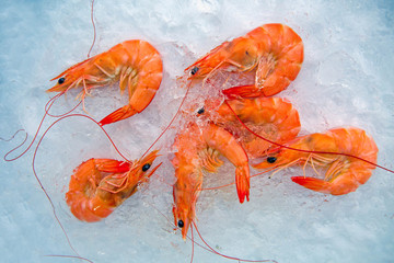 Orange boiled shrimp placed on ice piles