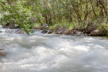 Naklejka na ściany i meble water in a mountain river