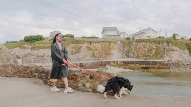 mujer asiática joven paseando con perro border collie al lado del mar