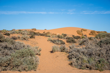 Sand dunes, Perry Sandhills, Australia