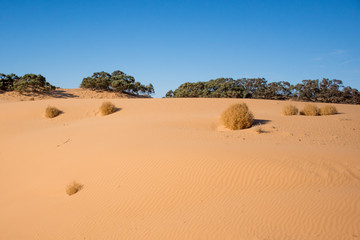 Sand dunes and tumbleweeds, Perry Sandhills, Australia