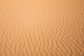 Ripple sand dunes, Perry Sandhills, Australia