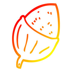 warm gradient line drawing cartoon acorn