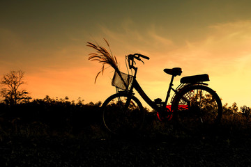 Fototapeta na wymiar Silhouette of bicycle and grass flower with blue sky in nature landscape, bike on sunset background