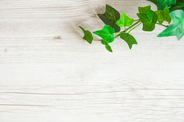 Green plant and wood grain background material. 緑の植物と木目の背景素材