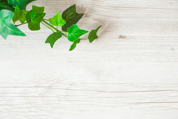Green plant and wood grain background material. 緑の植物と木目の背景素材