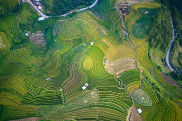 Vlies Fototapete Reisfelder Schöne reife Reisterrassen von einer Drohne aus gesehen.