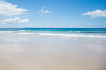 Fototapeta na wymiar Paradise beach view at Dee Beach, NSW, Australia. Tropical scenery. Vacation concept. Background