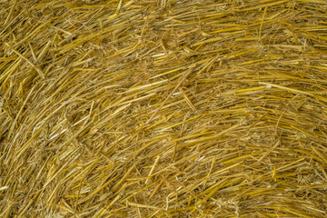 Straw texture. Wheat haystacks after harvest in summer