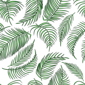 Vector palm leaves seamless pattern, jungle leaf on white background.