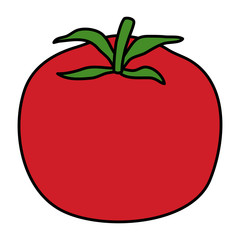 tomato fresh vegetable healthy icon