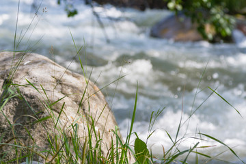 rapid flow of a river in a mountainous region