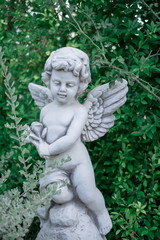 Fototapeta na wymiar Little Cupid angel statue holding roses in the garden