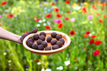 woman is holding fresh produced seed balls or seed bombs