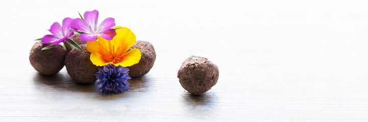 seed balls or seed bombs with various blossoms