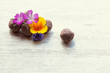 seed balls or seed bombs with various blossoms