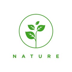 leaf and nature logo vector template