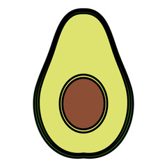 avocado fresh vegetable healthy icon