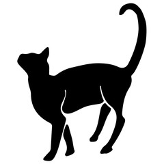 Hand Drawn Vector Cat Silhouette