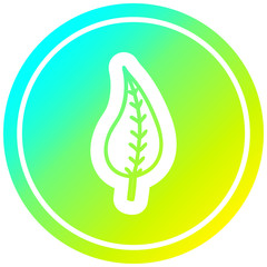 natural leaf circular in cold gradient spectrum