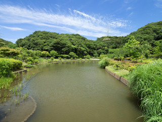 Fototapeta premium 神奈川県 光の丘水辺公園