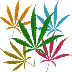 Colorful cannabis leaves on a white background. My design.